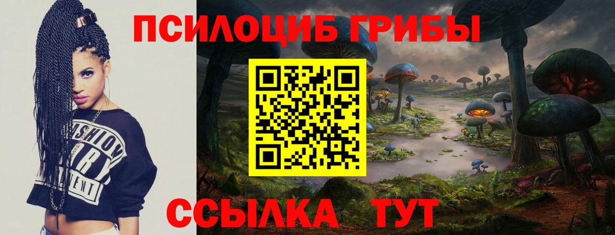 Псилоцибиновые грибы Psilocybe Елизово