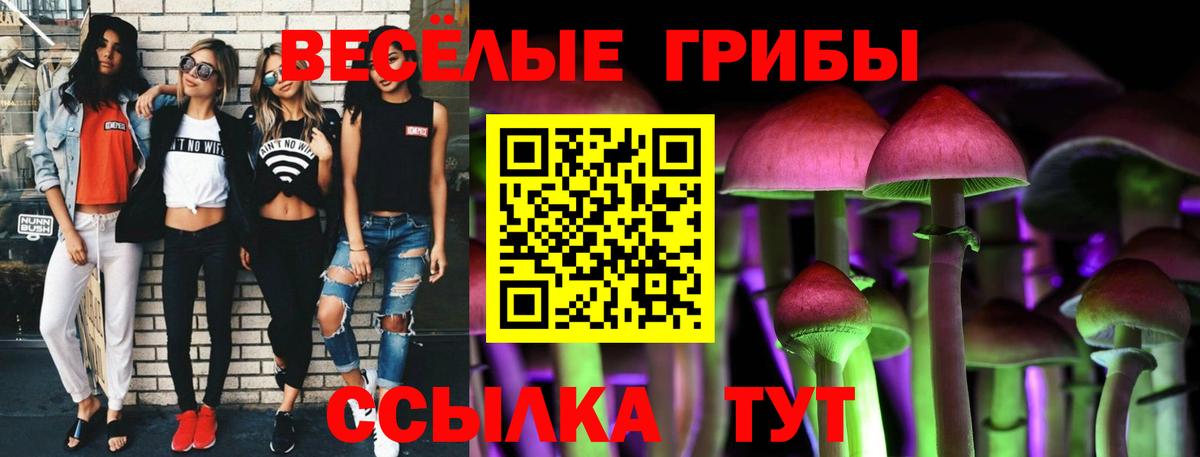 Елизово  Галлюциногенные грибы MAGIC MUSHROOMS  Вход с VPN  Галлюциногенные грибы Cubensis 