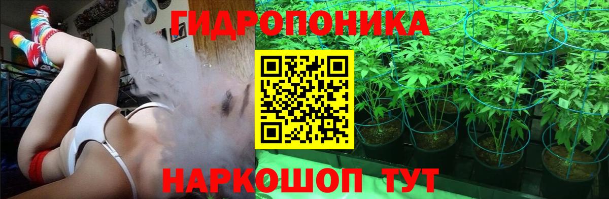 Шишки марихуана OG Kush Елизово